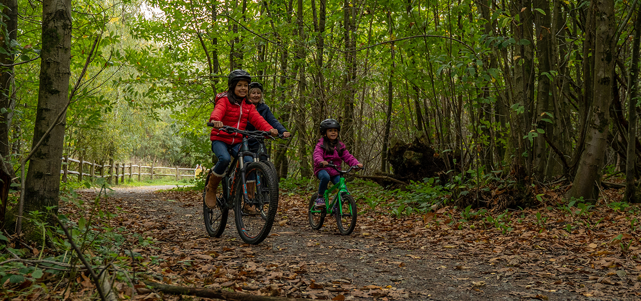 A family cycle on a forest trail