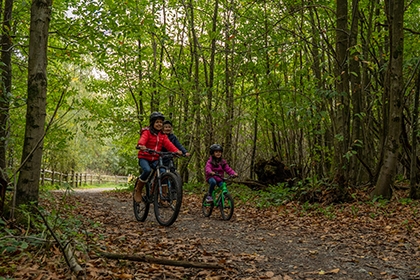 A family cycle on a forest trail