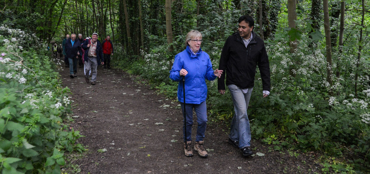 A group of walkers in the woods